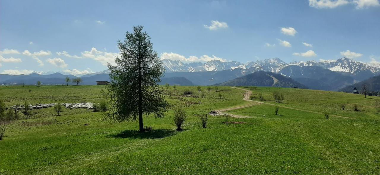 Pokoje Goscinne Przeklasa Pawel Zakopane Exteriör bild