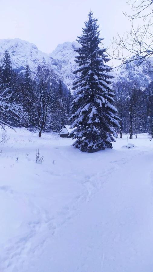 Pokoje Goscinne Przeklasa Pawel Zakopane Exteriör bild
