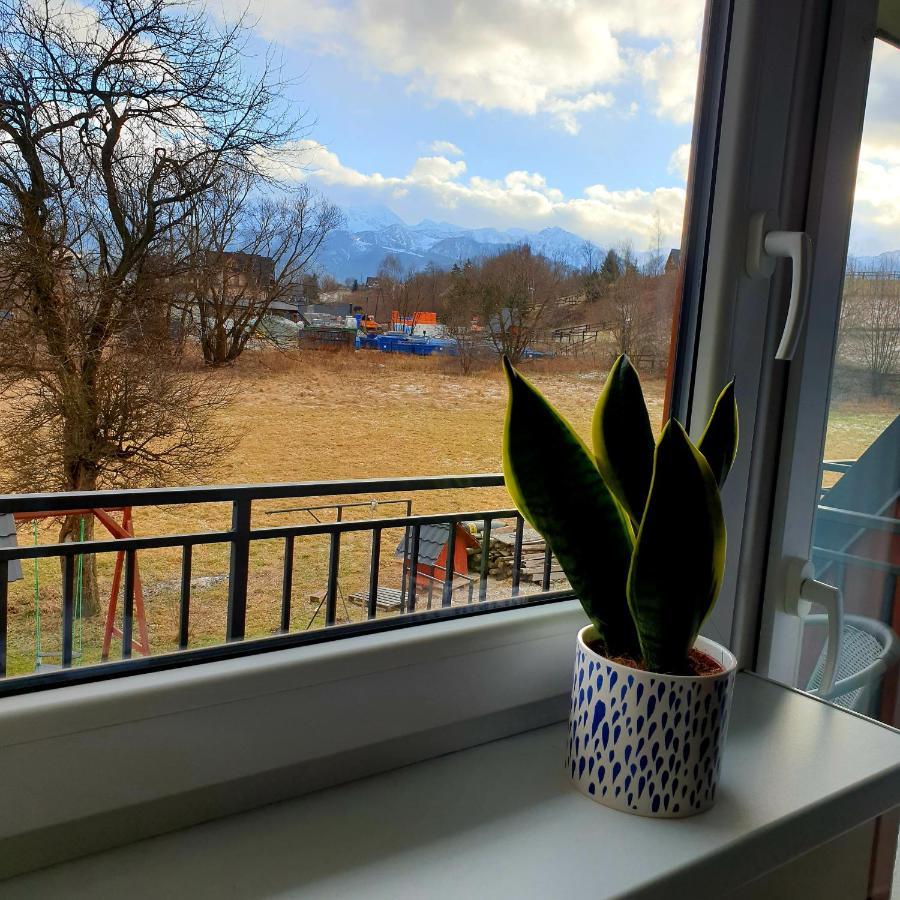 Pokoje Goscinne Przeklasa Pawel Zakopane Exteriör bild